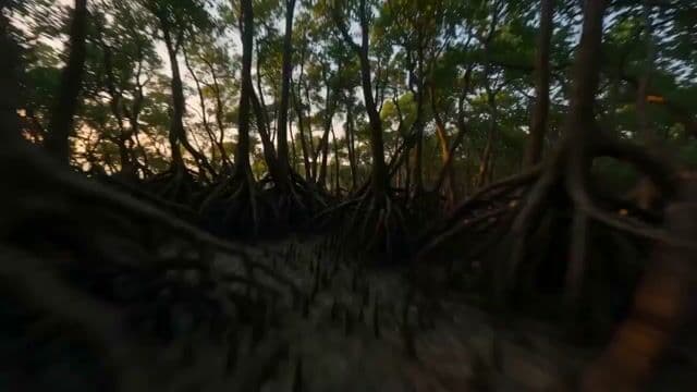 FPV Over Ancient Vanga Kingdom