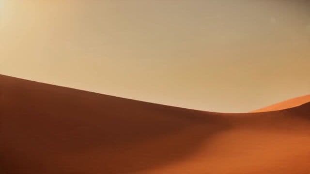 Desert Leviathan Belly Dancer