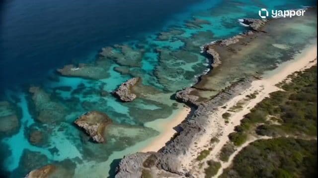 Golden Aerial Seaplane Adventure